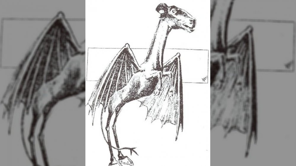 Jersey Devil - Fact or Fiction? - Department of Admnistration