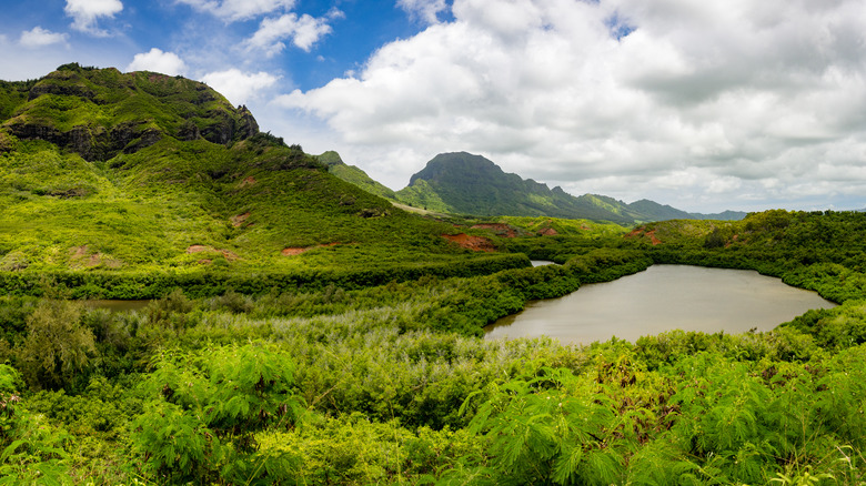 Menehune Fishpond in Hawaii