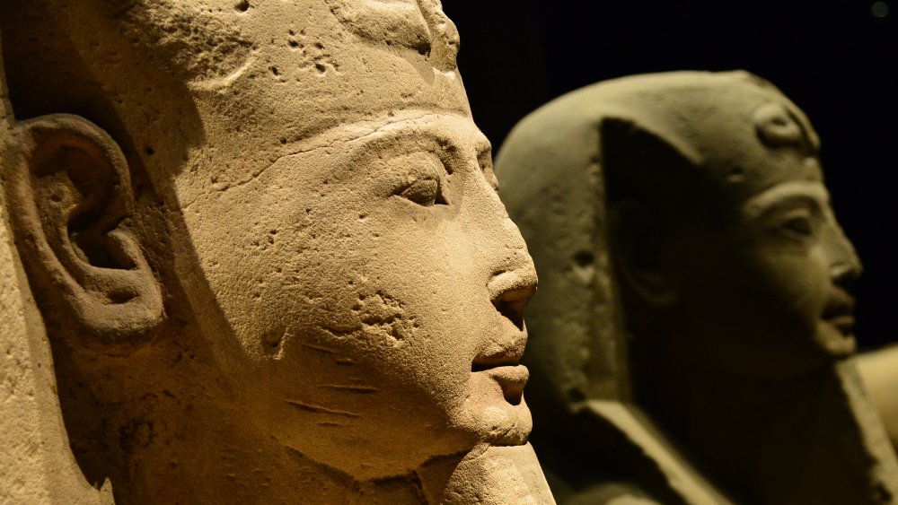Stone Sphinxes in a row at Museo Egizio