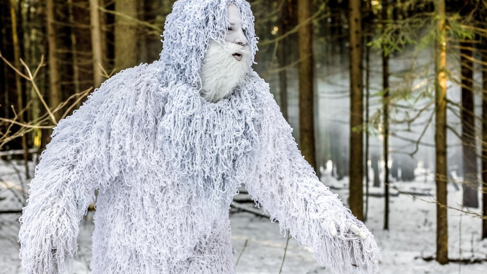 So much for the abominable snowman. Study finds that 'yeti' DNA