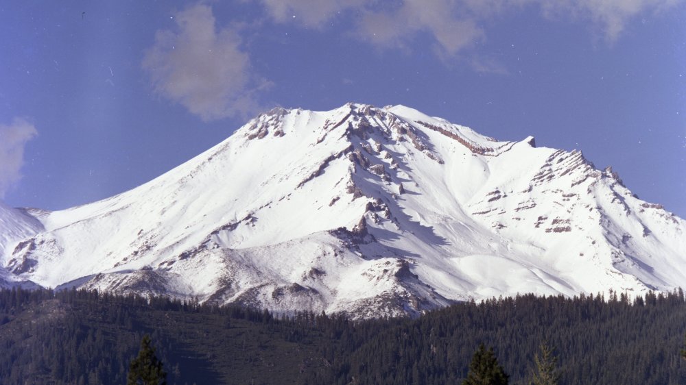 Mount Shasta