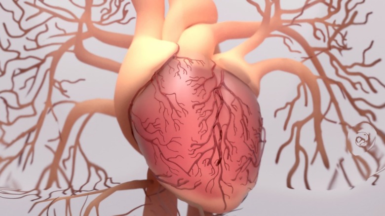 Rendering of the human heart