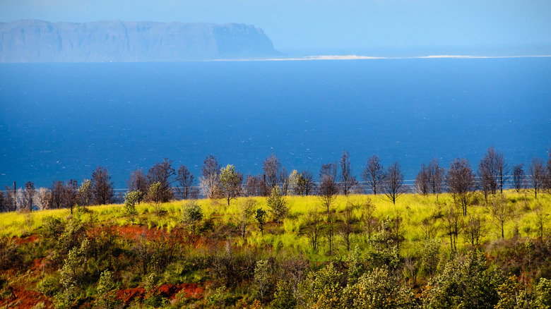 Hawaii island of Ni'ihau trees blue ocean cliffs