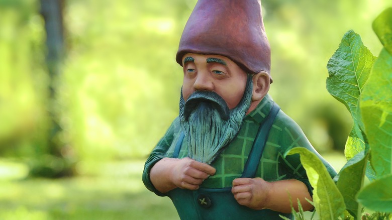 garden gnome in the woods
