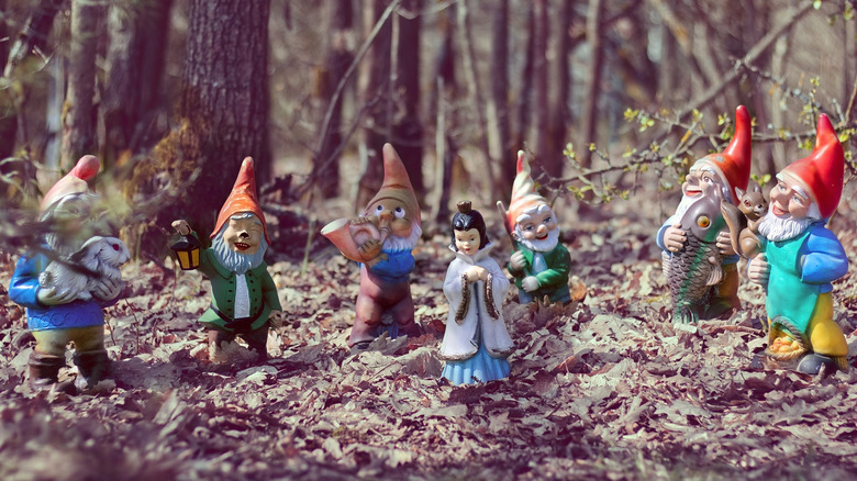 snow white and seven gnomes