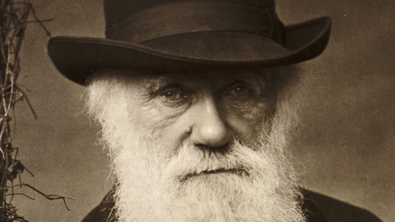 Charles Darwin standing photograph