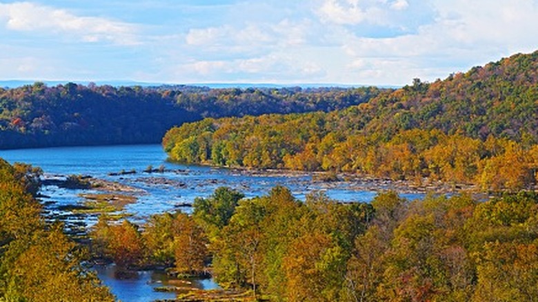 Shenandoah River