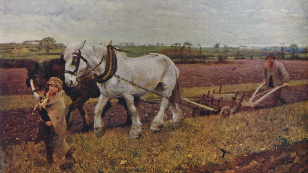working on the farm