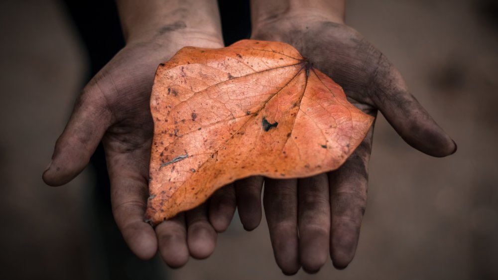 child miner