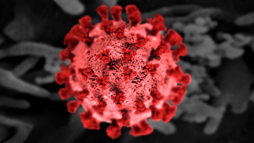 A coronavirus
