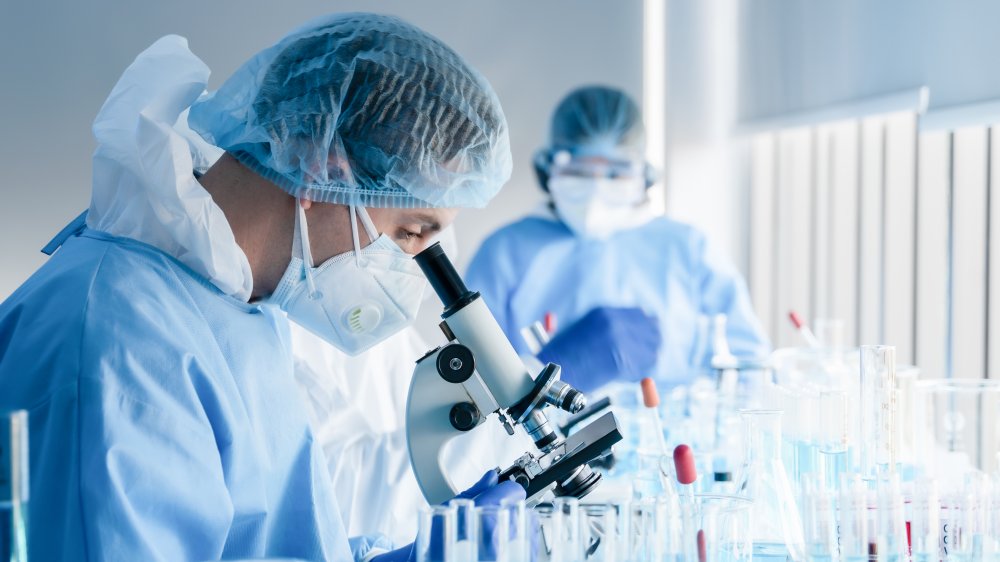 Doctor looking at lab plates