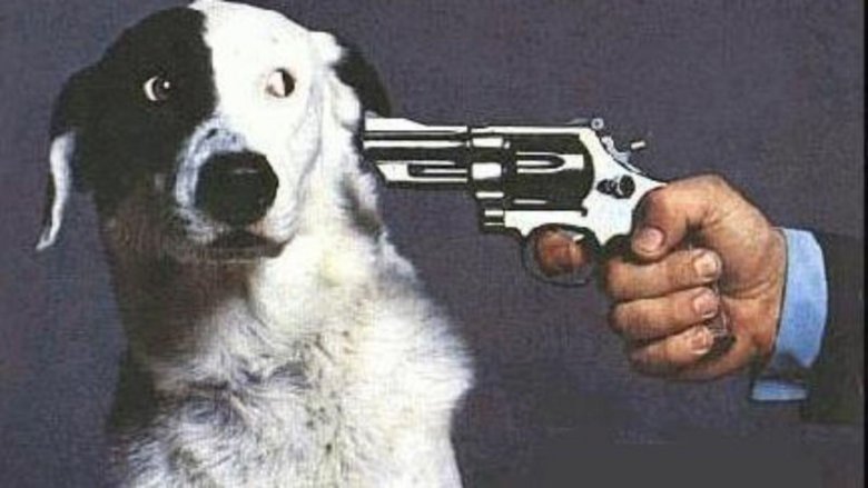 national lampoon dog