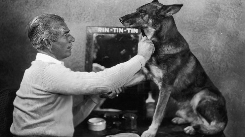 rin tin tin dog wwi