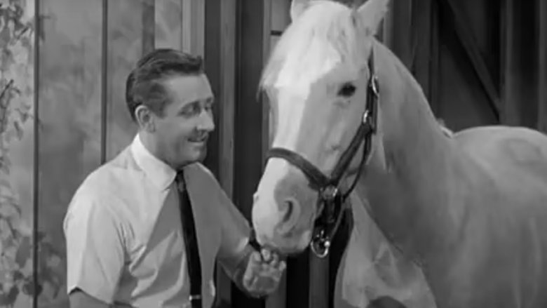 mister ed horse