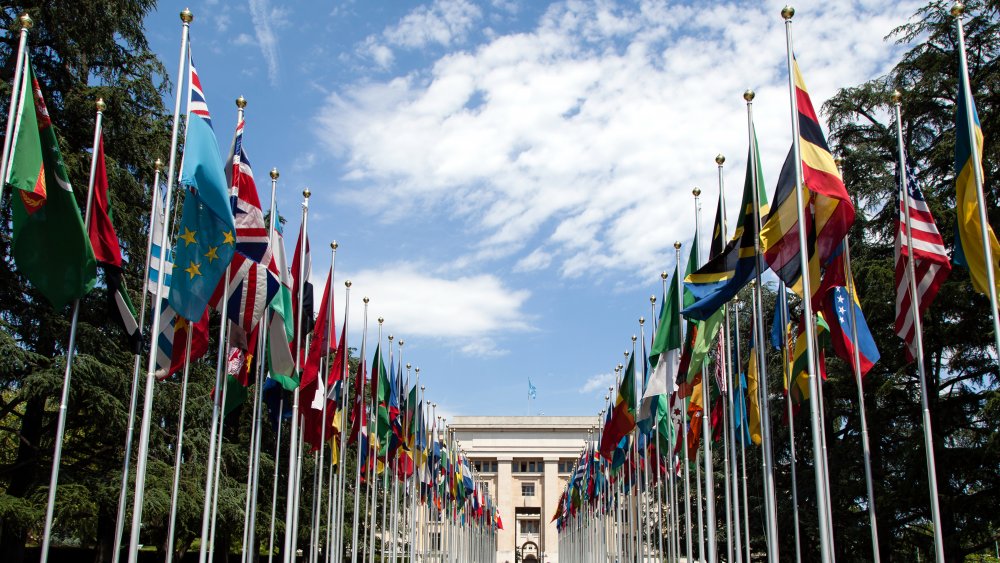 United Nations flags