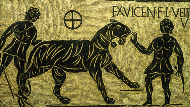 Tiger and gladiator