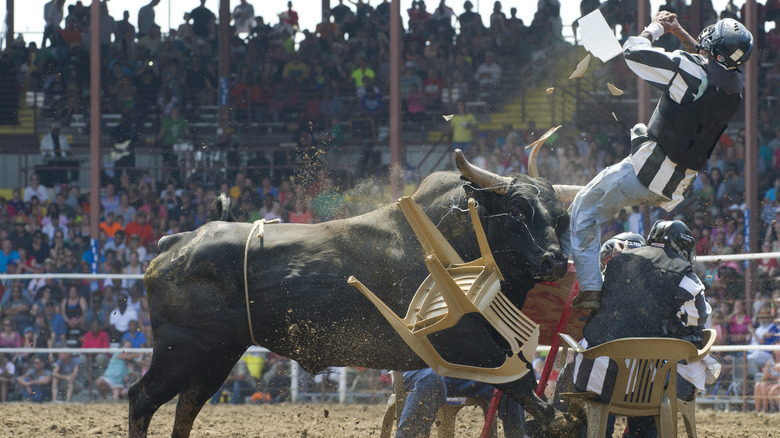 Angola prison rodeo
