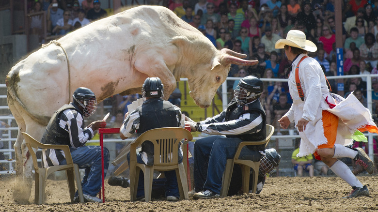 Angola prison rodeo