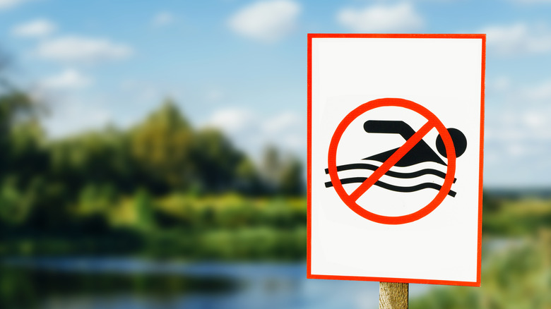 no swimming sign near water