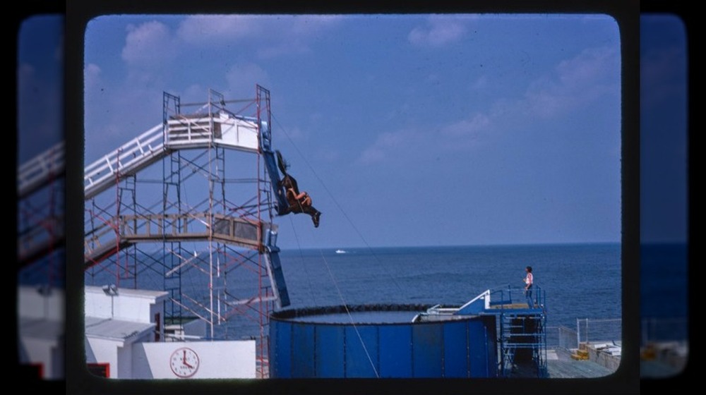 Horse diving into tank