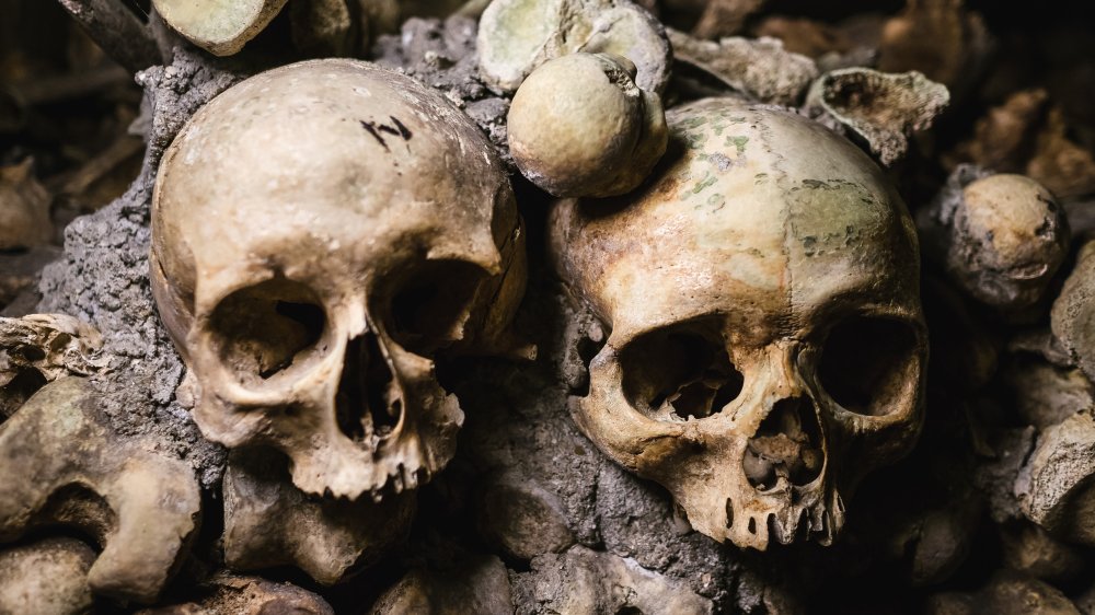 paris catacombs