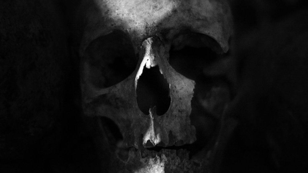 skull