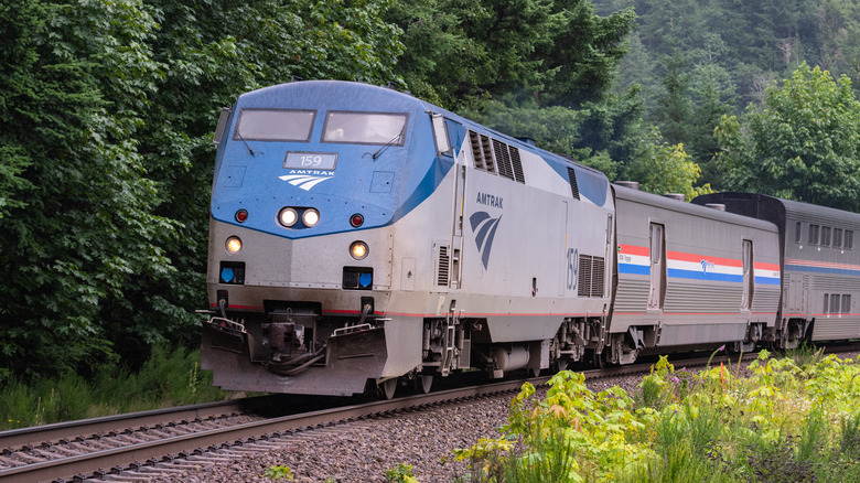 An Amtrak train drives through the forest