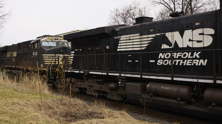A Norfolk Southern train passes by grass