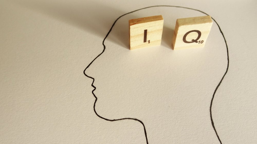 iq test