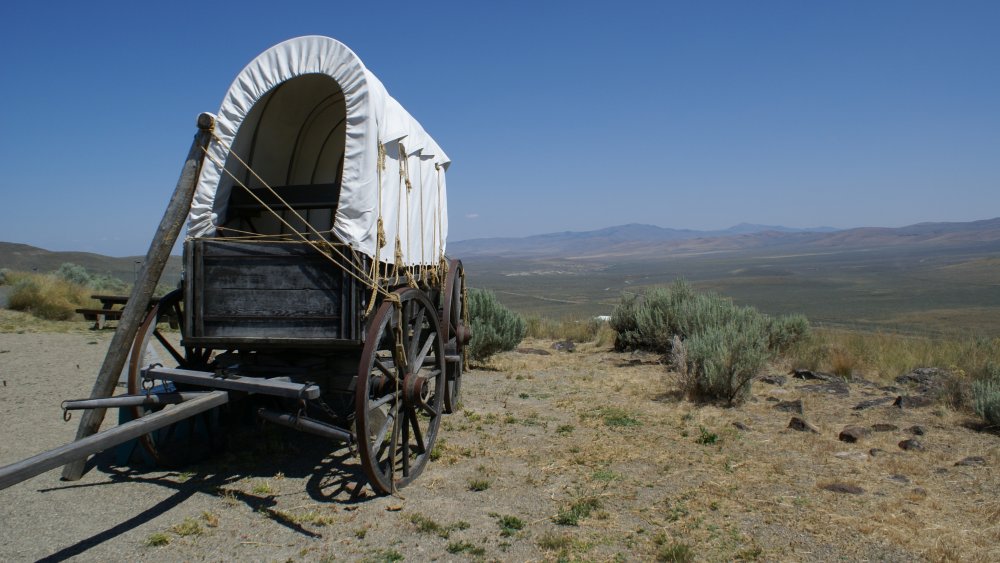 Oregon Trail wagon in front of mountains