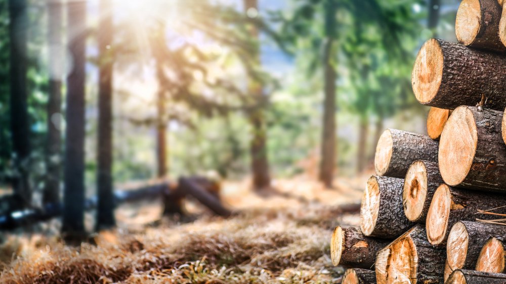 Timber