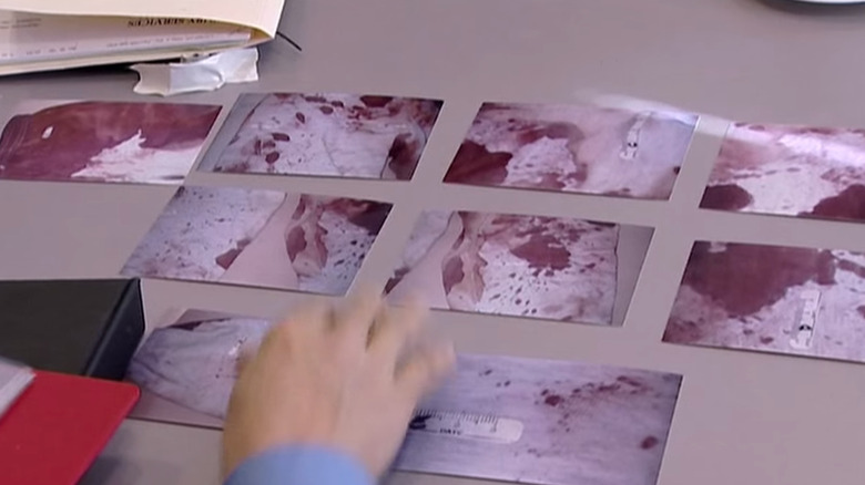 Blood spatter photos