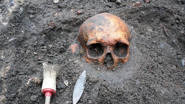 Archaeology, skull, dig