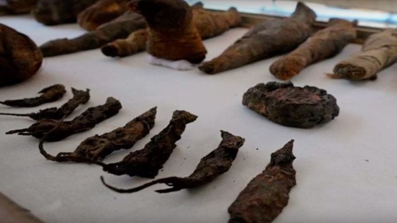 Mummified animals