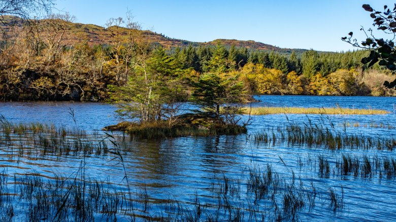 Crannog
