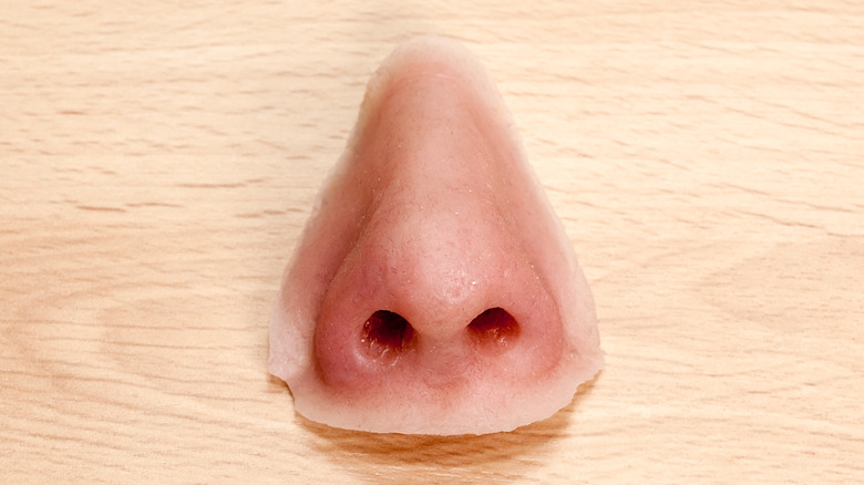 Prosthetic nose