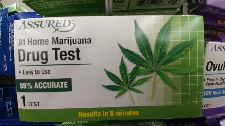 https://www.grunge.com/img/gallery/the-most-bizarre-items-you-can-buy-at-a-dollar-store/an-at-home-drug-test-1524512549.jpg