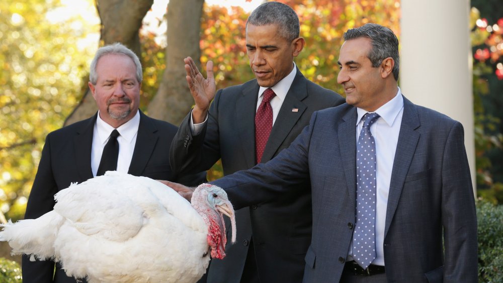 The turkey pardon