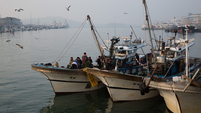 Japanese fishing boats in port