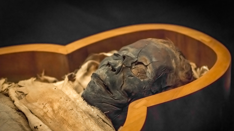 A very dead Egyptian mummy on display