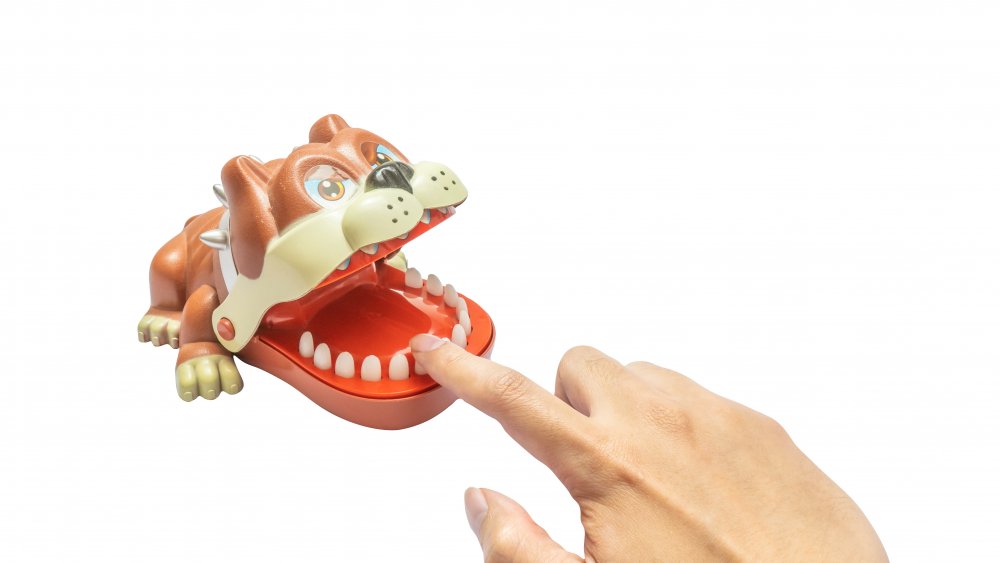 furious dog toy