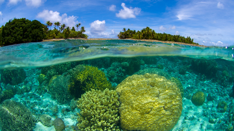 mysterious island marshall islands