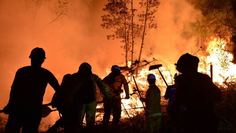 wildfire with firefighters silhouetted in orange