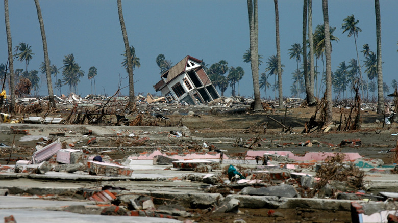 2004 Indian Ocean tsunami
