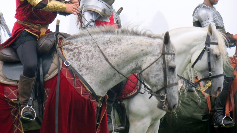 Knight on horseback