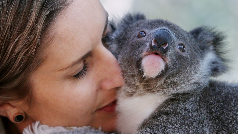 woman holding a koala