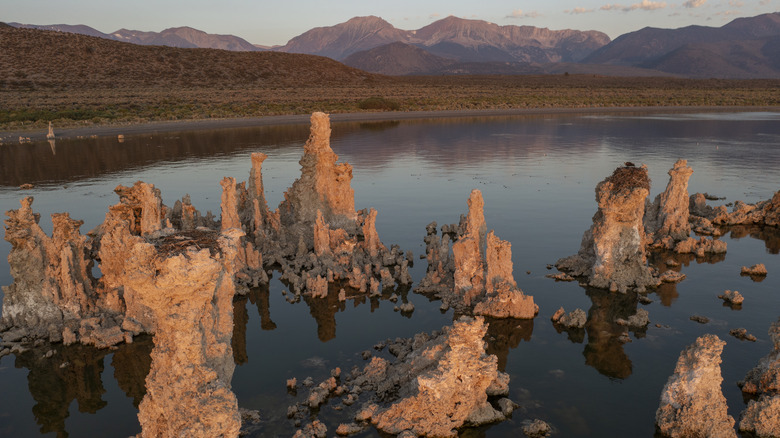Calcium carbonate towers Mono Lake