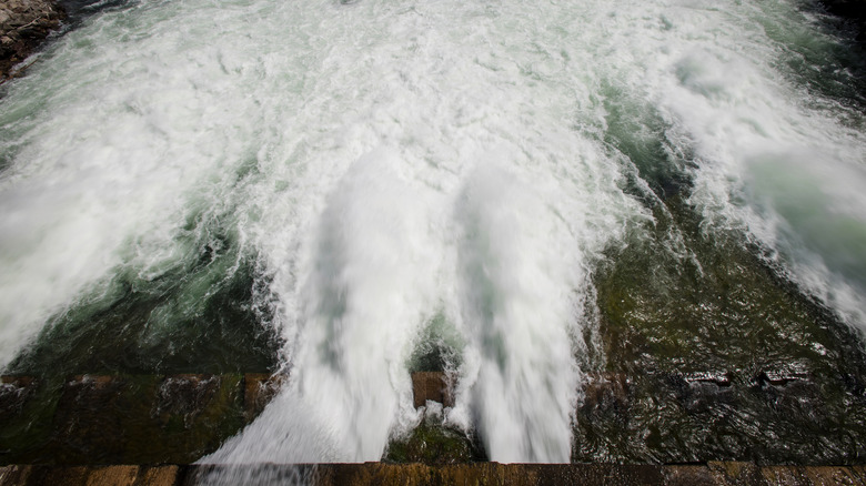 A dam on the Snake River in Wyoming