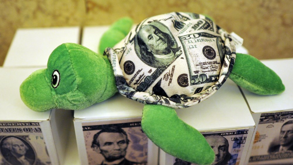 This turtle is so money and it doesn't even know it