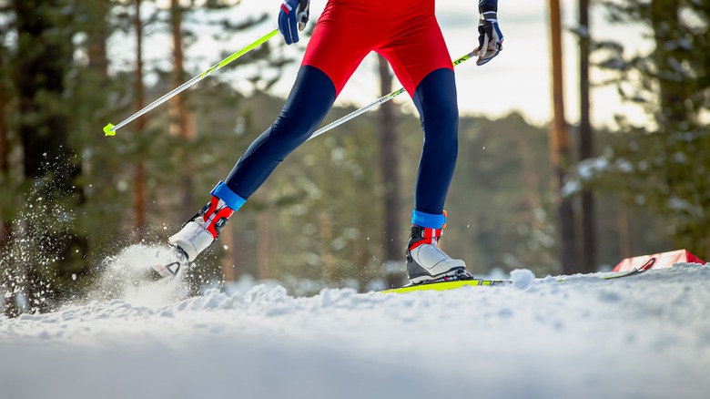 Cross-country skier